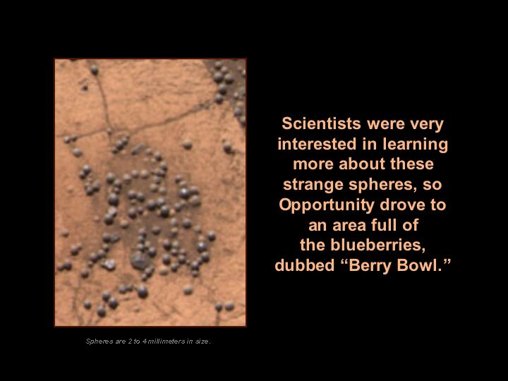 Scientists were very interested in learning more about these strange spheres, so Opportunity drove to an area full of the blueberries, dubbed 'Berry Bowl.'  [Image: Spheres are 2 to 4 millimeters in size.]